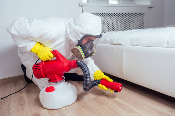 Best Insect Control  in Inglewood, CA