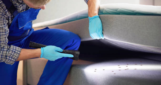 Pest Control for Restaurants in Inglewood, CA